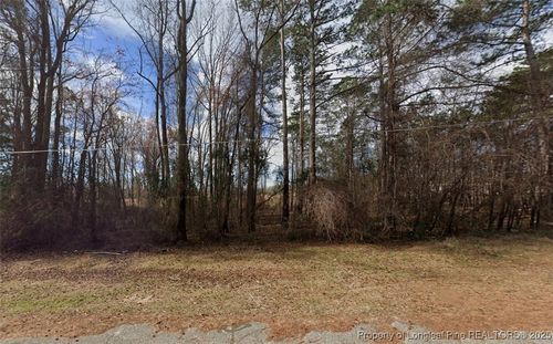 0 S Wilkinson Dr, Saint Pauls, NC, 28384 | Card Image