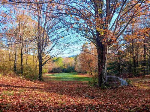 1096 Betts Bridge Rd, West Pawlet, VT, 05775-9768 | Card Image