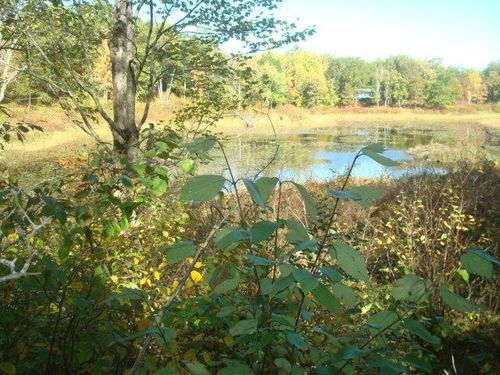 TBD Fawn Trl Ne, Longville, MN, 56655 | Card Image