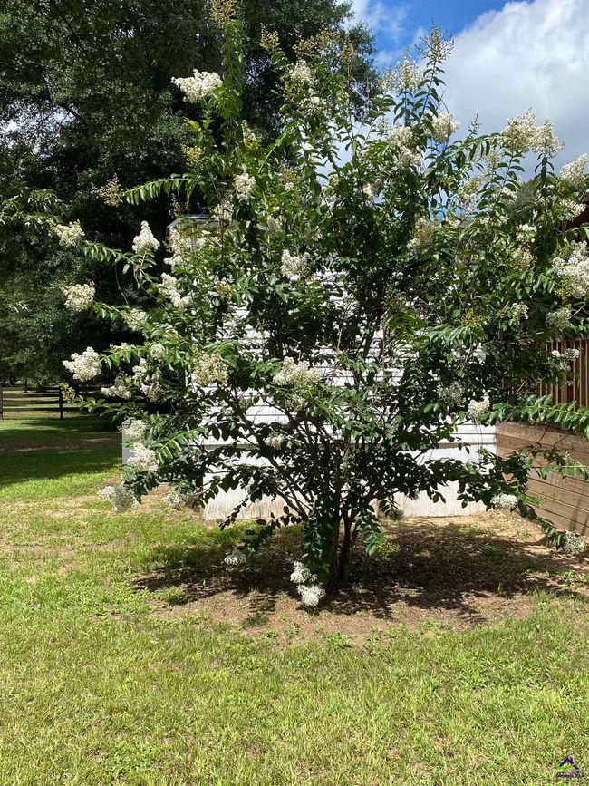 68 Loblolly Rd, House other with 2 bedrooms, 2 bathrooms and null parking in Oglethorpe GA | Image 17