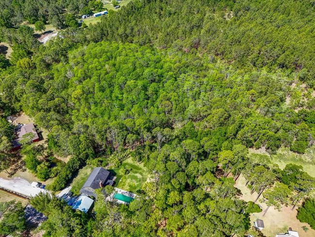 0 Carter Rd, Home with 0 bedrooms, 0 bathrooms and null parking in Saint Augustine FL | Image 14