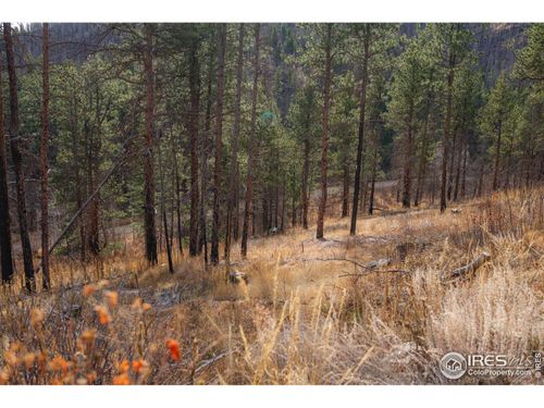 0 Cougar Cir Ct, Bellvue, CO, 80512 | Card Image