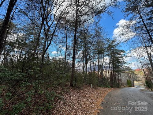 2-0 Raleigh Dr, Lake Lure, NC, 28746 | Card Image
