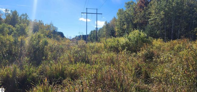 40 Acres Truesdale Road, Home with 0 bedrooms, 0 bathrooms and null parking in Manton MI | Image 7