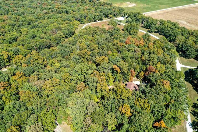 Lot 40 B Deer Park Drive, Home with 0 bedrooms, 0 bathrooms and null parking in Dix IL | Image 11