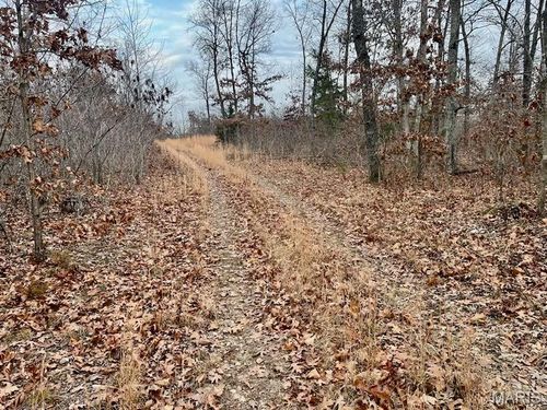 0 125.87 Ac Tract1-A Clear Creek Road, Richwoods, MO, 63071 | Card Image