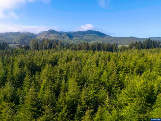 0 Elmer Miller Rd, Home with 0 bedrooms, 0 bathrooms and null parking in Siletz OR | Image 9