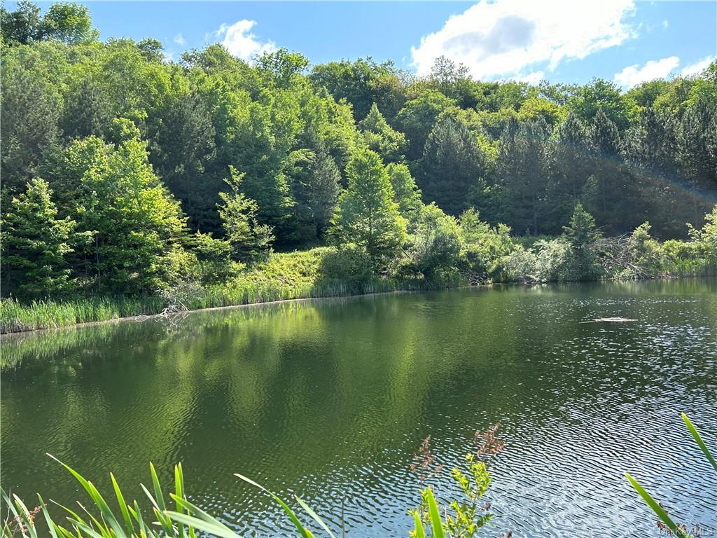 Big Beaver Blvd, Wampum, PA 16157 #1