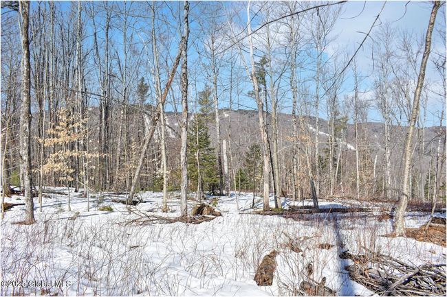 48 Durkin Rd, Home with 0 bedrooms, 0 bathrooms and null parking in North Creek NY | Image 52
