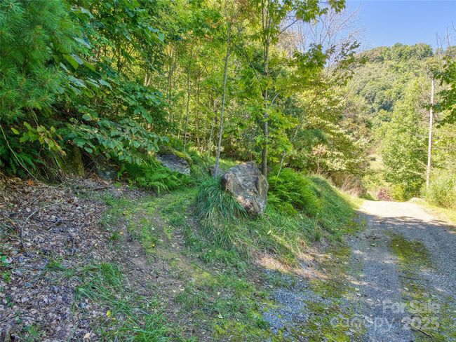 00 Yellow Locust Dr, Home with 0 bedrooms, 0 bathrooms and null parking in Waynesville NC | Image 6