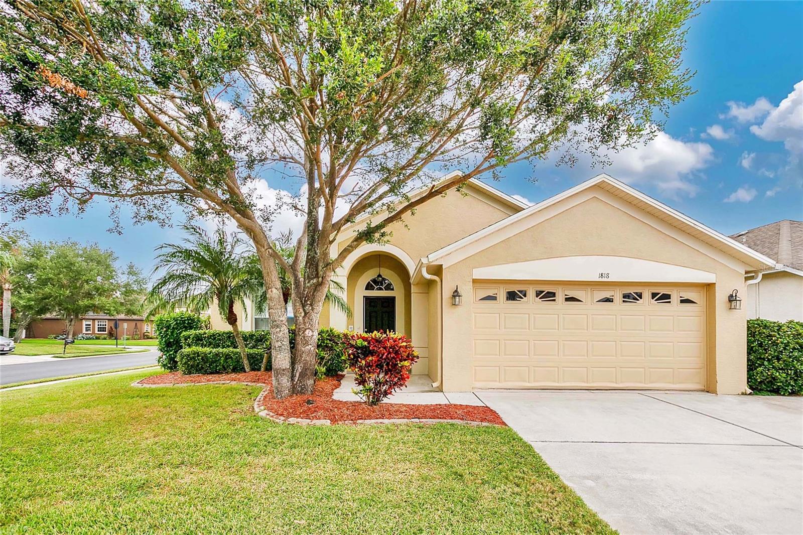 Lady Palm Ct, Trinity, FL 34655