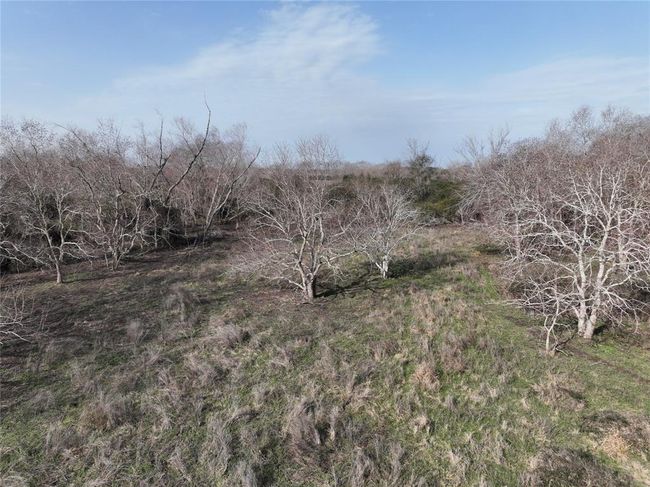 South Woods area | Image 34