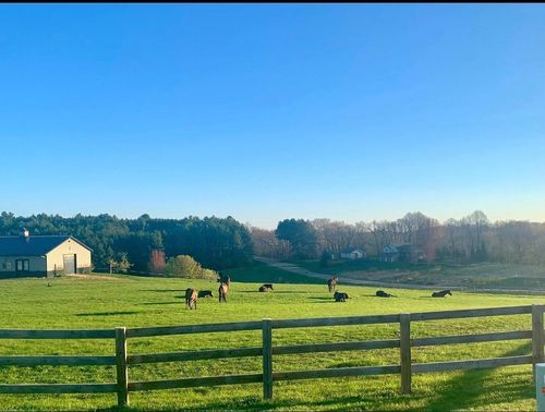 W10708 468th Ave, Prescott, WI, 54021-7718 | Card Image