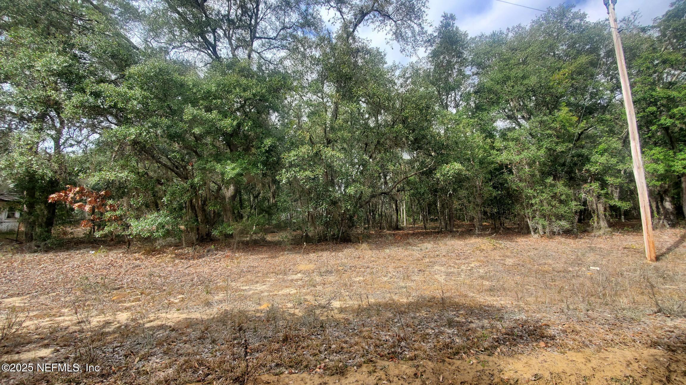 Land in Interlachen 5