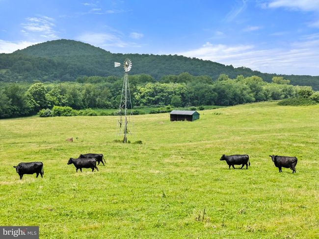 10674 Ada Rd, Home with 1 bedrooms, 1 bathrooms and null parking in MARSHALL VA | Image 8