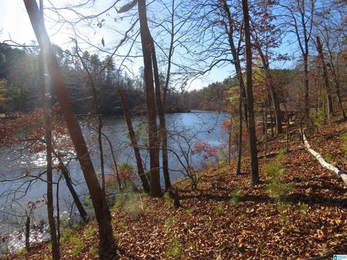 4-Lot 4 Cove Drive, ROCKFORD, AL, 35136 | Card Image