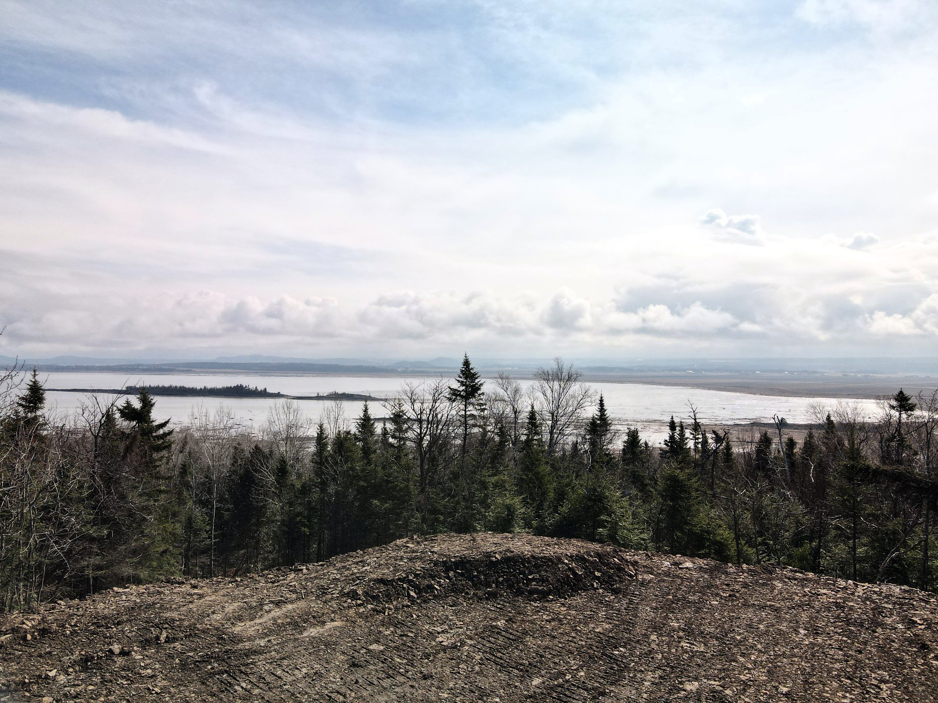 Land in Saint-Denis-De La Bouteillerie 3