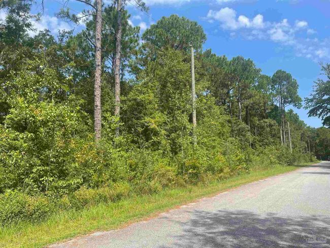 0 Corral Rd, Home with 0 bedrooms, 0 bathrooms and null parking in Milton FL | Image 7
