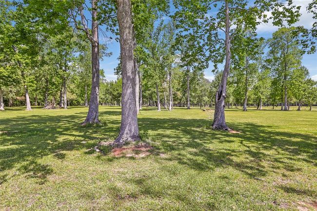 View of White's Park which is directly behind the fence | Image 8