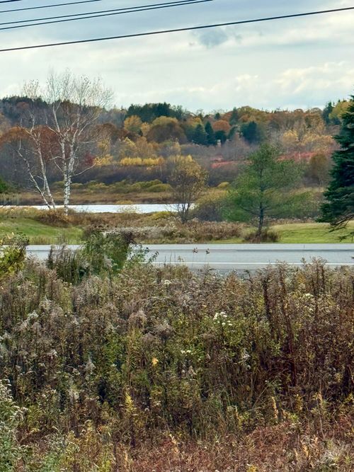 346 Main Street, East Machias, ME, 04630 | Card Image