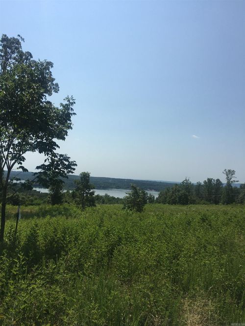 LOT 6 Donham Dr, Edgemont, AR, 72044-8019 | Card Image