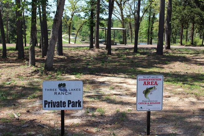 153 Private Road 1311, Home with 0 bedrooms, 0 bathrooms and null parking in Centerville TX | Image 5