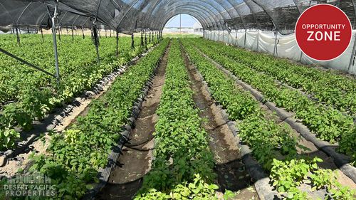 78100 Harrison St, Thermal, CA, 92274-9591 | Card Image