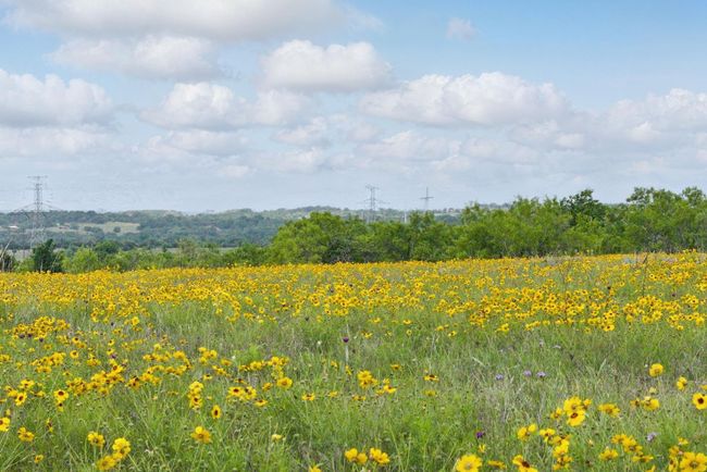 4500 White Settlement Rd, Home with 0 bedrooms, 0 bathrooms and null parking in Willow Park TX | Image 11