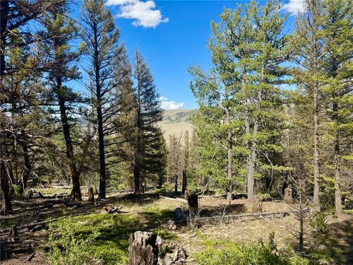 223 Middle Fork Vis, FAIRPLAY, CO, 80440 | Card Image