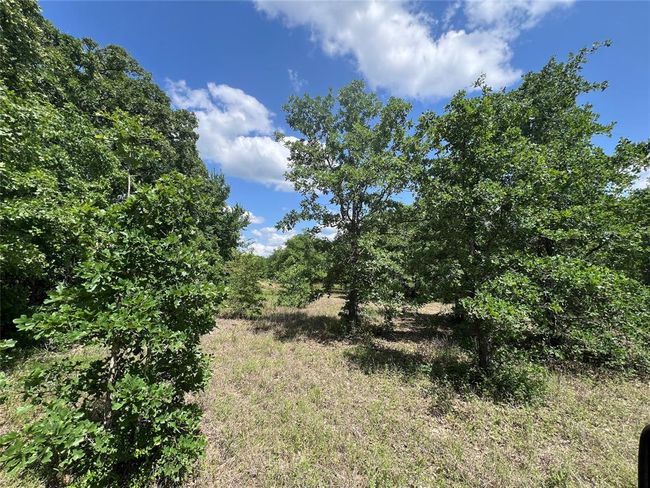 2 S Richards St, Home with 0 bedrooms, 0 bathrooms and null parking in Anderson TX | Image 13