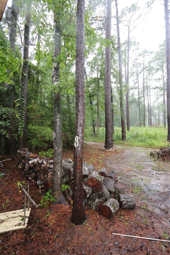 1397 Parker Frk, House other with 1 bedrooms, 1 bathrooms and null parking in Zavalla TX | Image 16