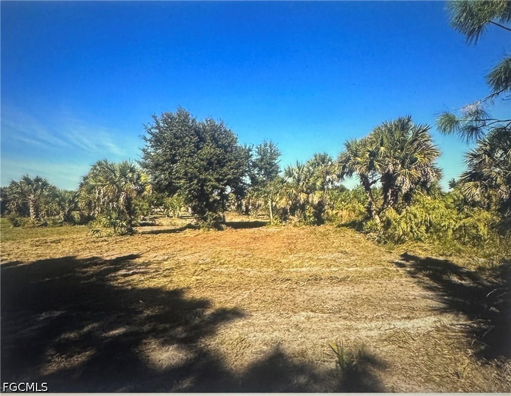 Land in Naples