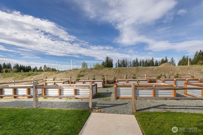 Garden beds | Image 34
