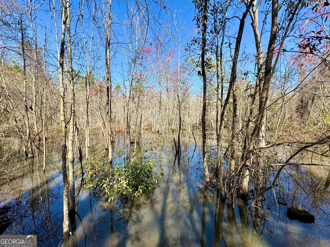 2819 Stripling Rd, Home with 0 bedrooms, 0 bathrooms and null parking in Dexter GA | Image 9
