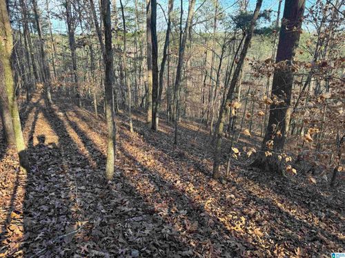 0-56 Acres County Road 202, Piedmont, AL, 36272 | Card Image