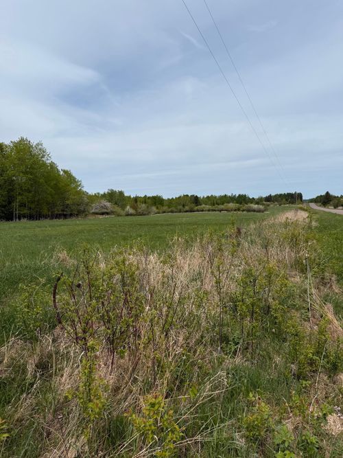 TBD Hanninen Rd, Marengo, WI, 54855 | Card Image