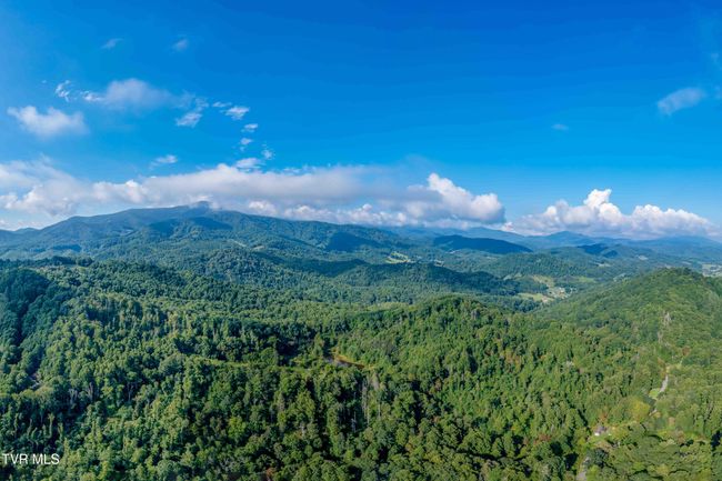 306 Bear Branch Rd, Home with 0 bedrooms, 0 bathrooms and null parking in Roan Mountain TN | Image 8