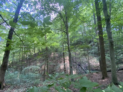 5032 Ridge Hill Dr, Joelton, TN, 37080-8961 | Card Image