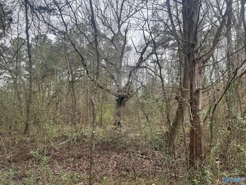 123 Hitt Rd, Decatur, AL, 35603-3543 | Card Image