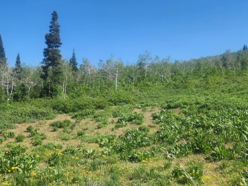 h250-7434 N Rendezvous Rd, Huntsville, UT, 84317 | Card Image