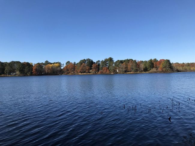 2329 Point Ln, House other with 3 bedrooms, 2 bathrooms and null parking in Lac du Flambeau WI | Image 49