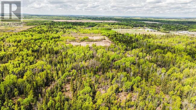 98196 Highway 681, Home with 0 bedrooms, 0 bathrooms and null parking in Rural Saddle Hills County AB | Image 22