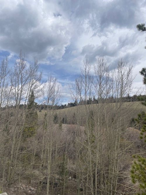 1582 Beaver Creek Rd, FAIRPLAY, CO, 80440 | Card Image