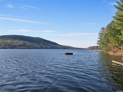 1147 N Shore Rd, Hadley, NY, 12835-3315 | Card Image