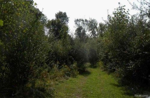 VL Genesee Road Parcel A, Elba Township, MI, 48446 | Card Image