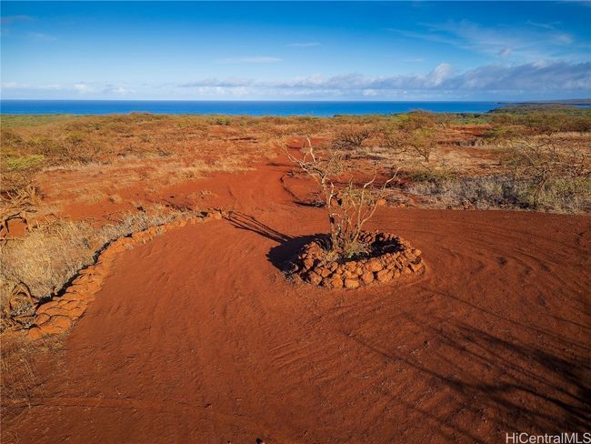 Lot 125 Ahiu Rd, Home with 0 bedrooms, 0 bathrooms and null parking in Maunaloa HI | Image 9