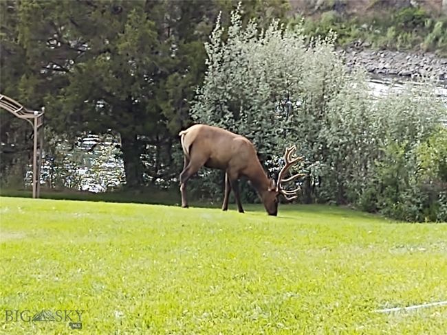 1077 Us Highway 89 S, House other with 3 bedrooms, 3 bathrooms and null parking in Gardiner MT | Image 85