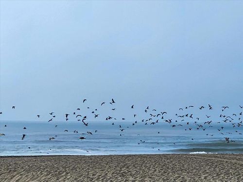 apt-180-875 La Playa St, San Francisco, CA, 94121-3257 | Card Image
