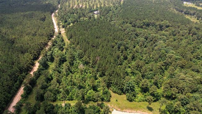 00 Felix Currie Rd, Home with 0 bedrooms, 0 bathrooms and null parking in Oakhurst TX | Image 7