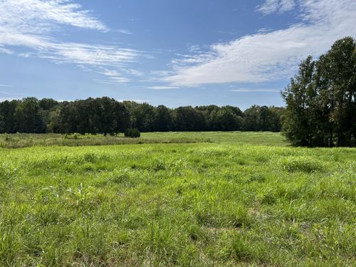 0 Goldston Springs Rd, Puryear, TN, 38251 | Card Image